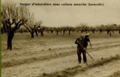 Projet proposé